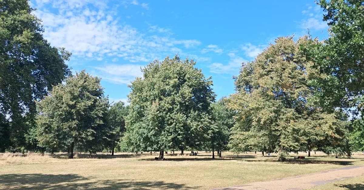 Londres en Automne : Que Voir et Faire